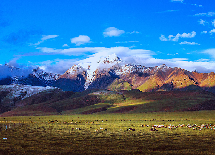 һ��һ��Ҫȥһ�εĵط�����������